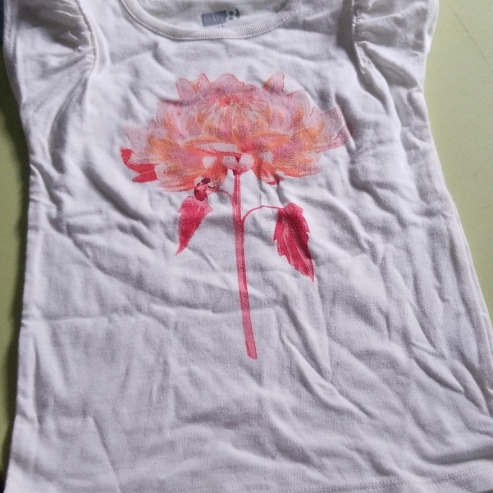 Beautiful NWT ladybug on a flower shirt